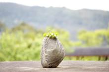 石頭和山野的對話